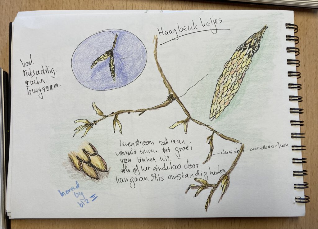 Natuurdagboek voorbeeld eerste pagina