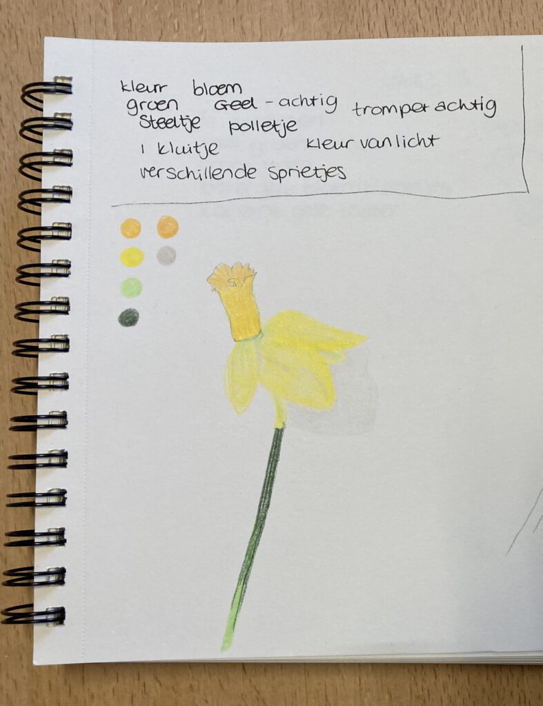 Natuurdagboek voorbeeld lente
