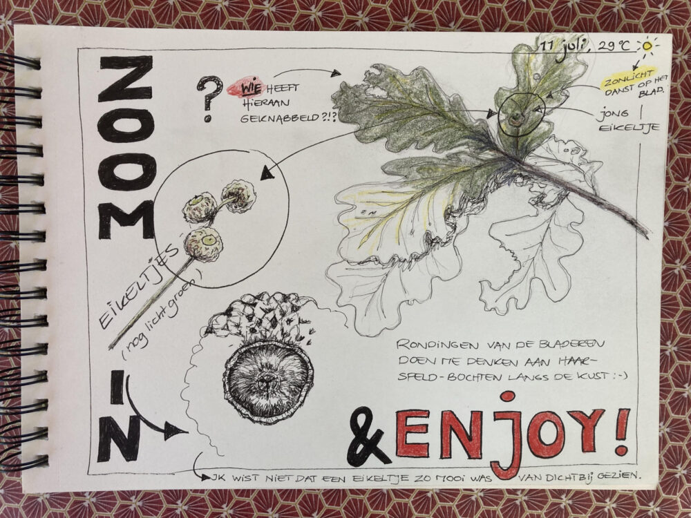 voorbeeld natuurdagboek maken met 5 tips voor jouw de eerste pagina