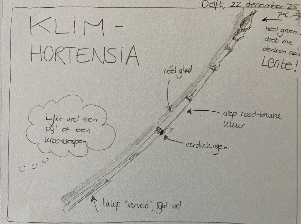 Voorbeeld pagina nature journal uit onze workshop Natuurdagboek maken van De Papaver en Buitenblogger