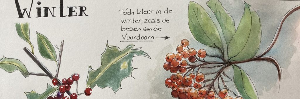 25 prompts voor een winter natuurdagboek