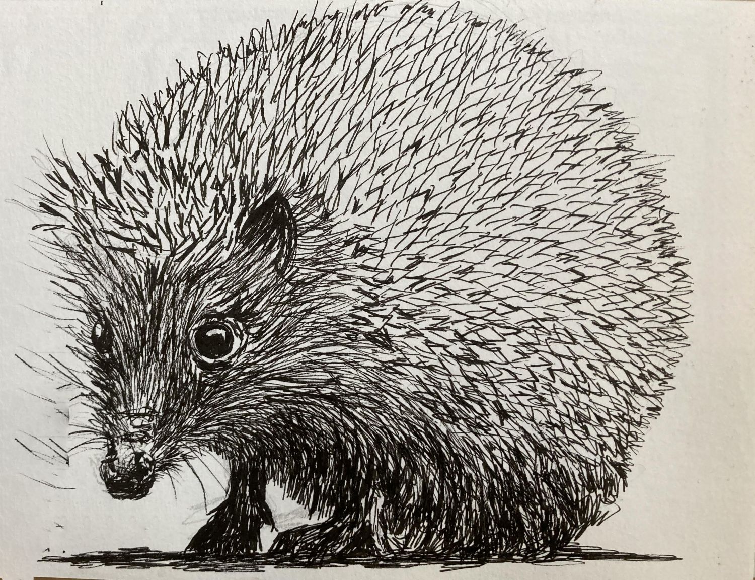 Egel met fineliner getekend