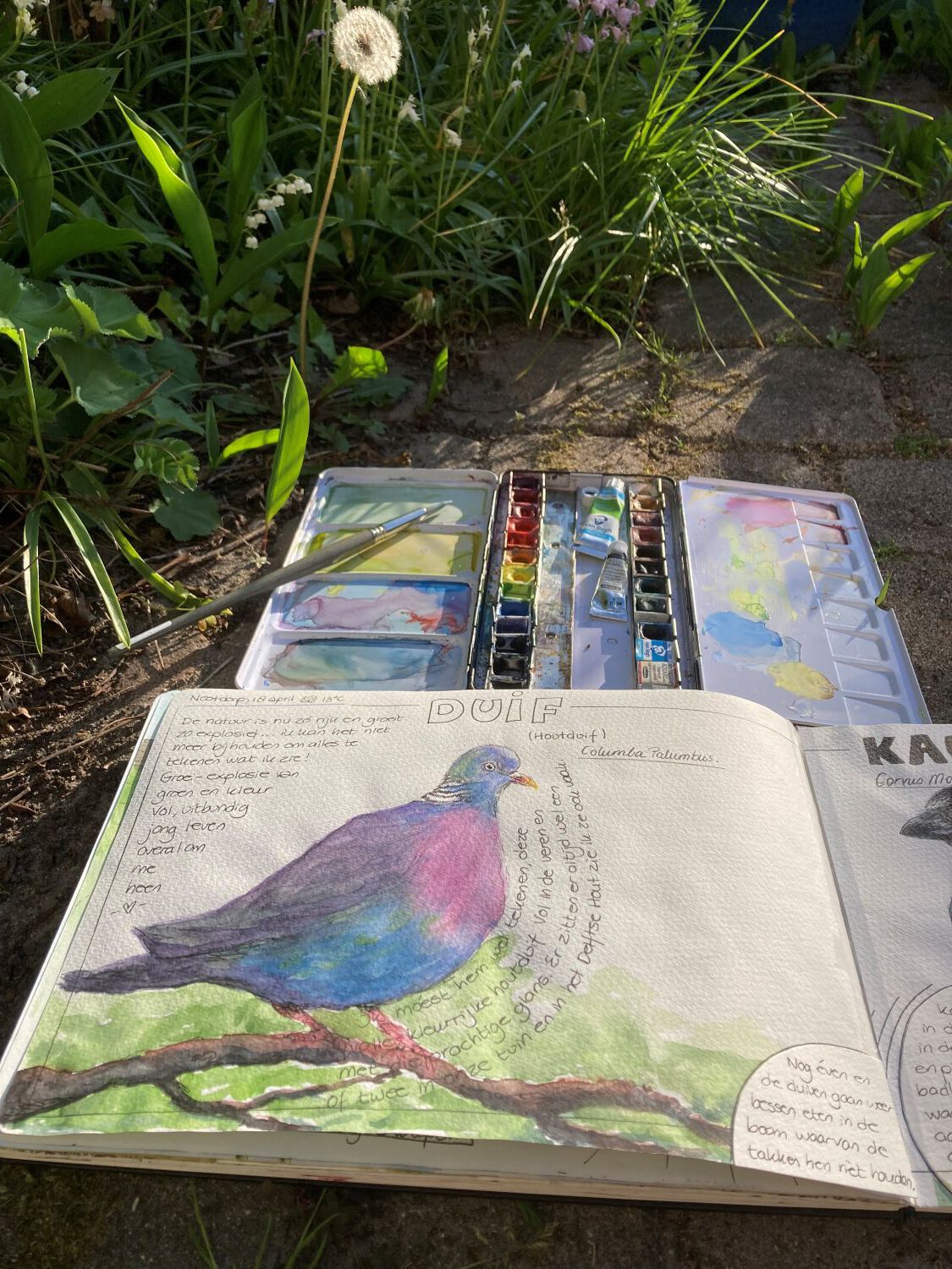 Afbeelding zonder ALT