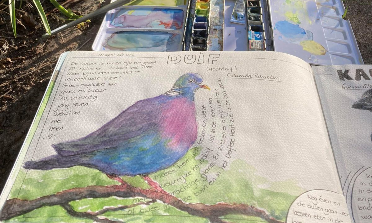 Wat is Nature Journaling?