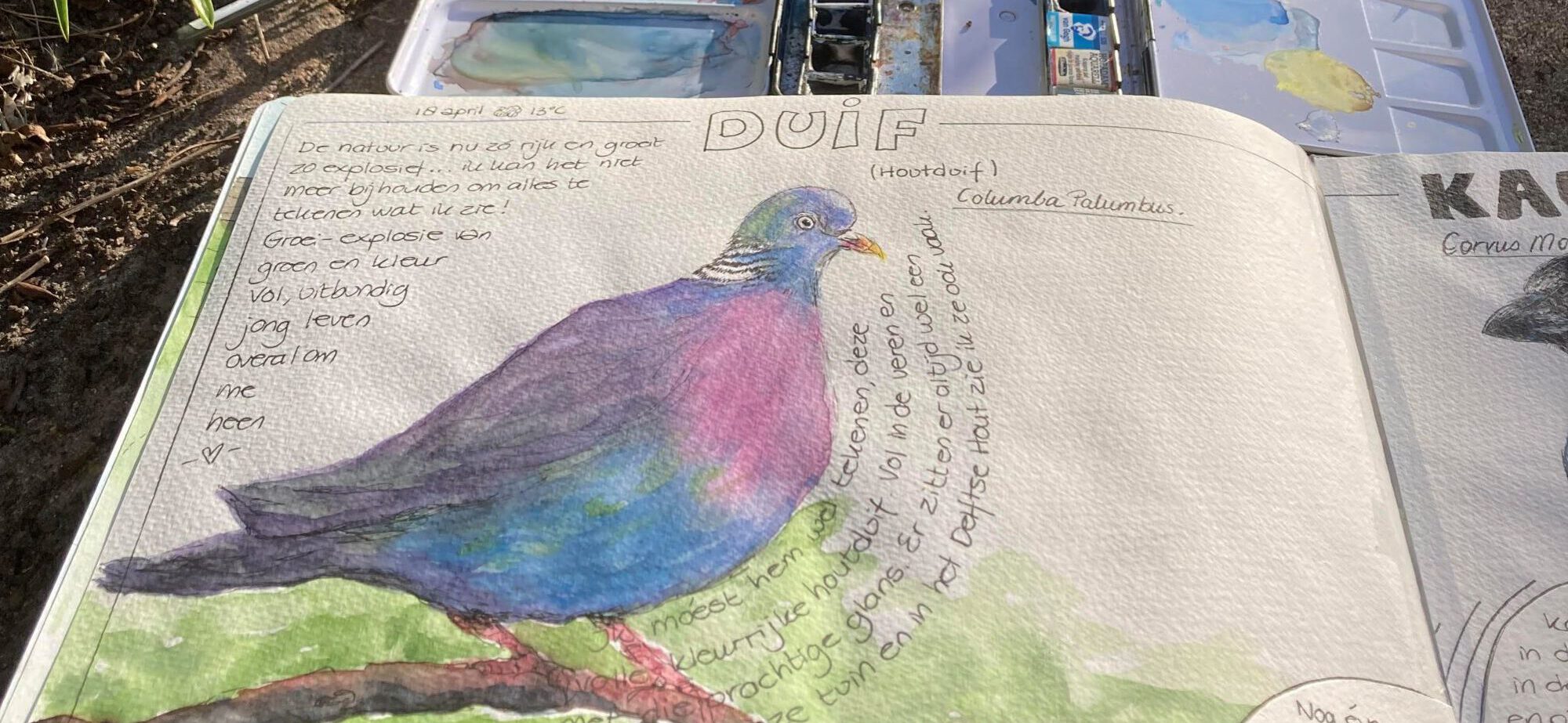 Wat is Nature Journaling?