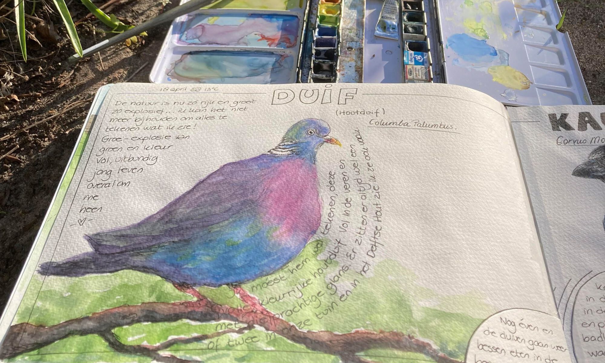 Wat is Nature Journaling?