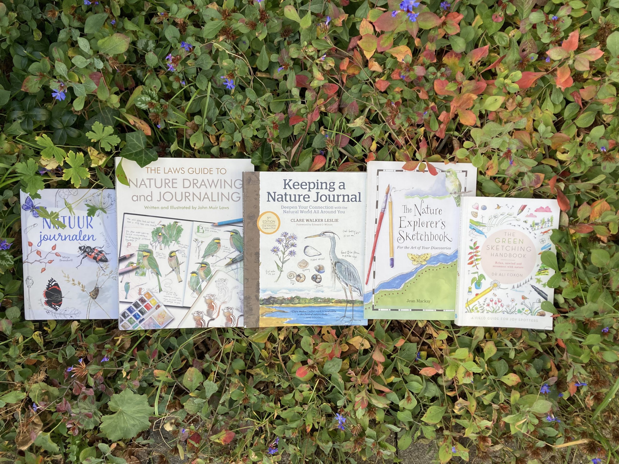 De 5 leukste boeken over Nature Journaling – met tips en voorbeelden