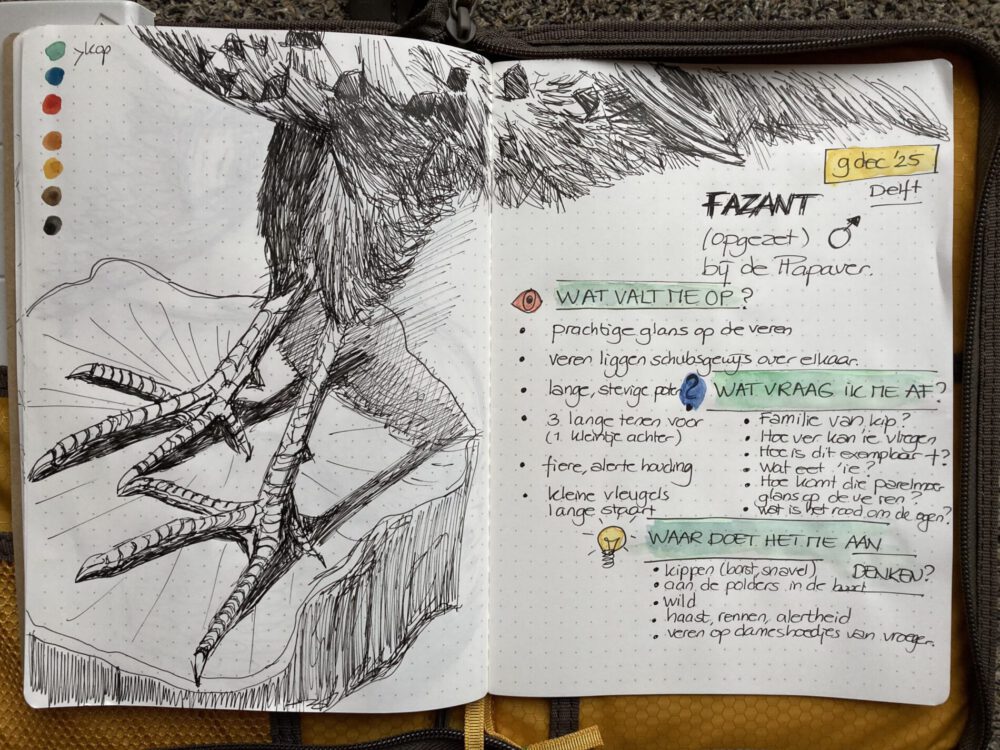 Sterke poten: Nature Journaling in december