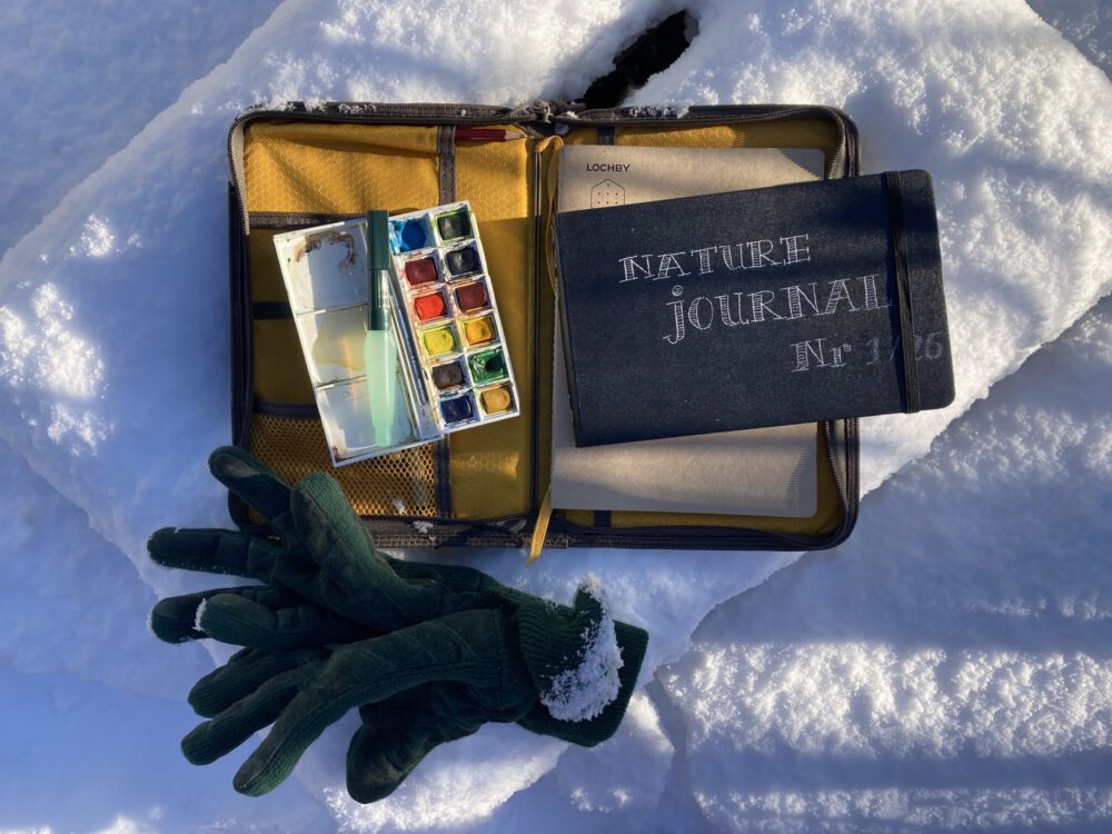 Schilderen in de sneeuw: Nature Journaling in januari
