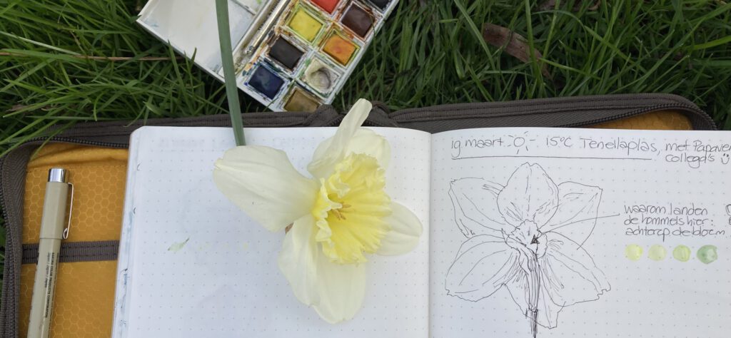 Schetsjes en notities in mijn natuurdagboek bij Tenellaplas.